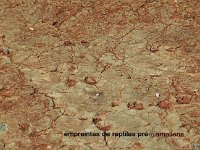 Sortie hauts cantons (14)